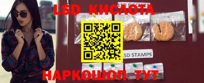 PSILOCYBIN Владикавказ