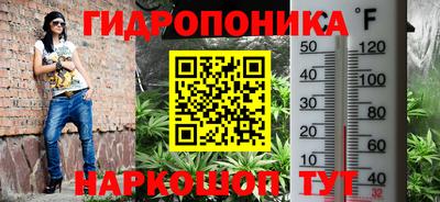 apvp Владимир