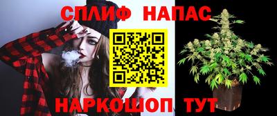 СК Владивосток