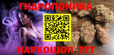 apvp Владимир