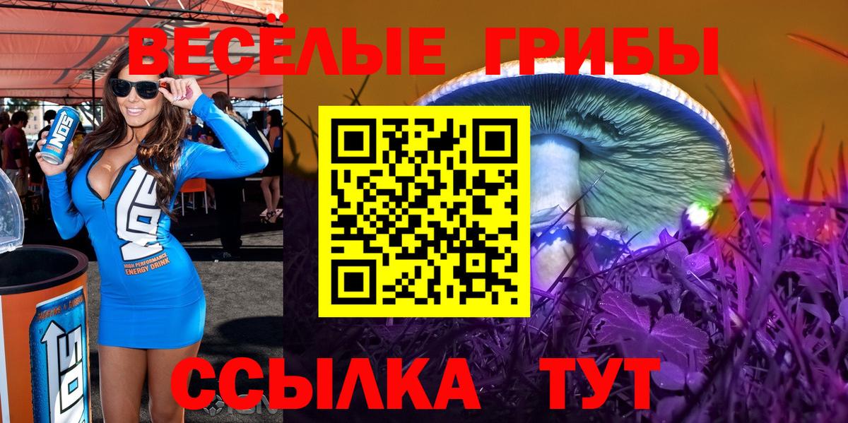 наркота  Псилоцибиновые грибы Psilocybine cubensis  Вход с VPN  Псилоцибиновые грибы Cubensis  Кимры 