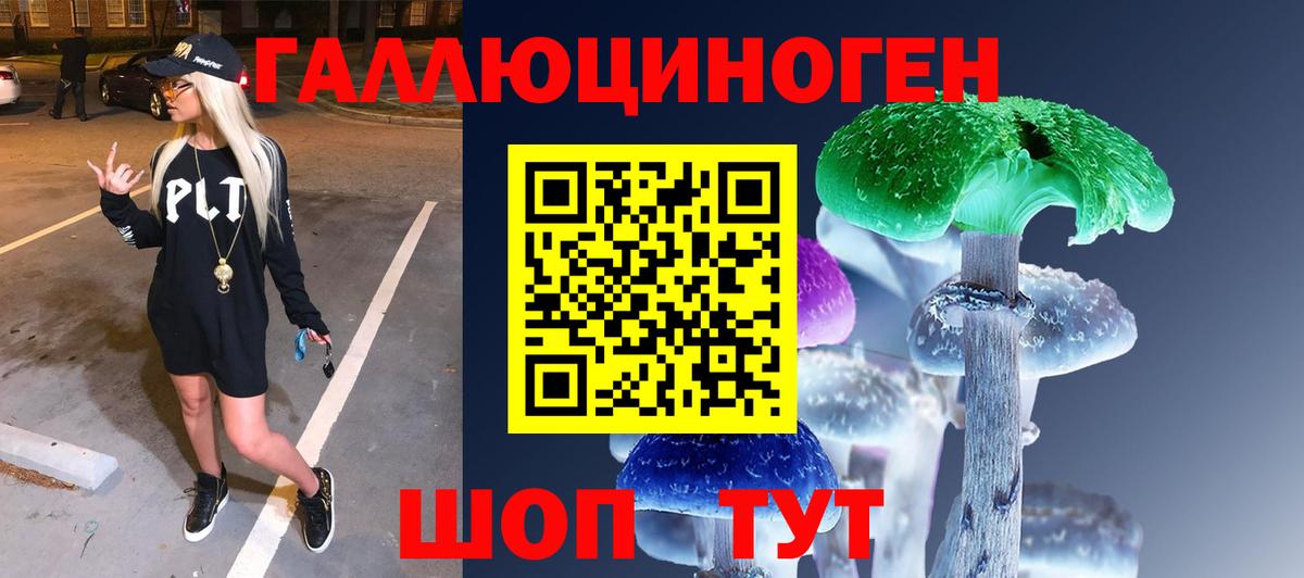 Псилоцибиновые грибы GOLDEN TEACHER Кимры